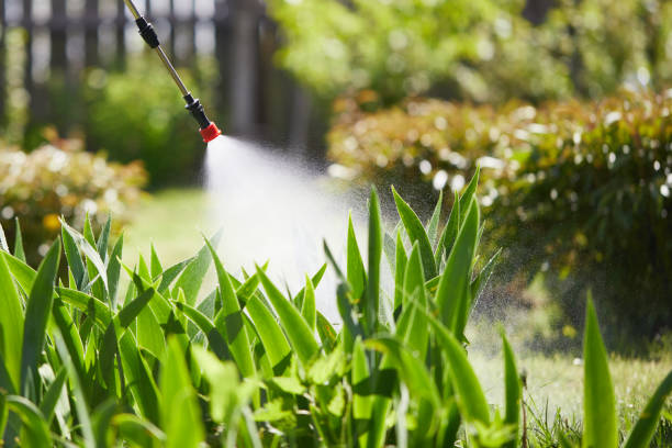 Void Injection for Cockroach Colonies in Grover Beach