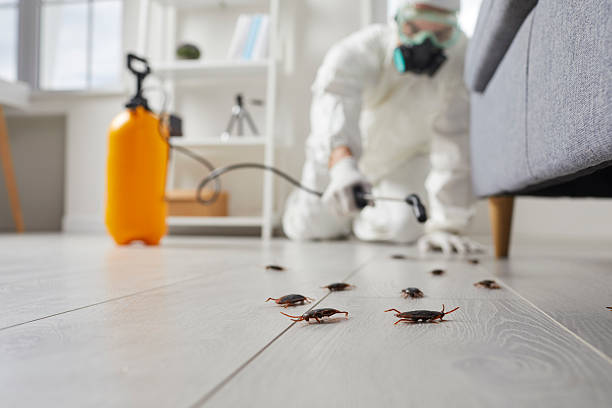 Commercial Kitchen Cockroach Control in Grover Beach